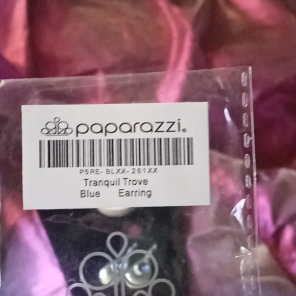 Paparazzi Silver Tone Earrings - Picture 4 of 4